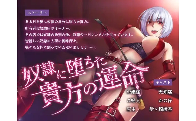 奴隷に堕ちた貴方の運命